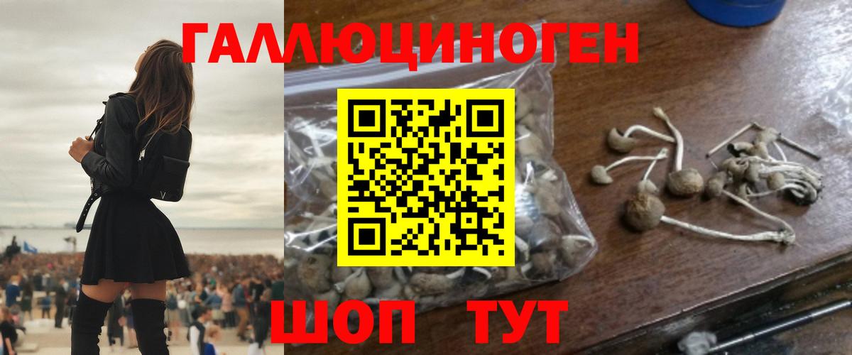 Галлюциногенные грибы Cubensis  Вход с VPN  Сургут 